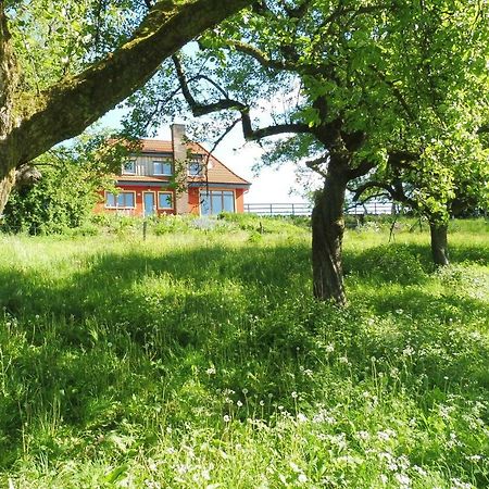 Kleine Villa Im Wilden Garten Gummersbach Exteriör bild