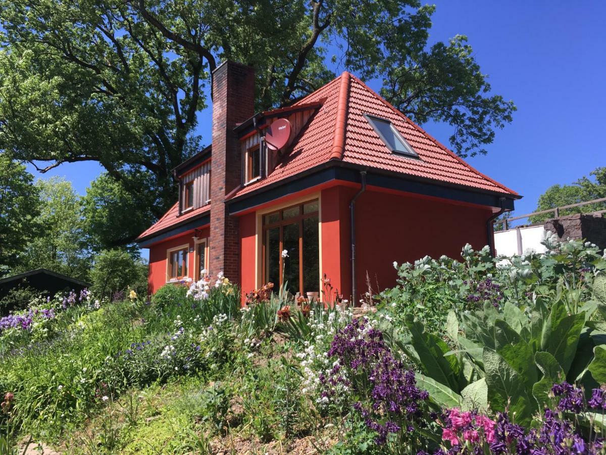 Kleine Villa Im Wilden Garten Gummersbach Exteriör bild