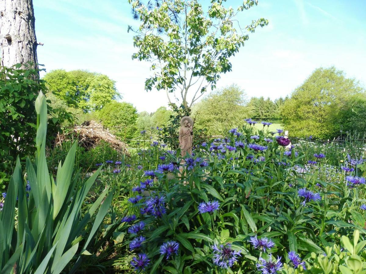 Kleine Villa Im Wilden Garten Gummersbach Exteriör bild