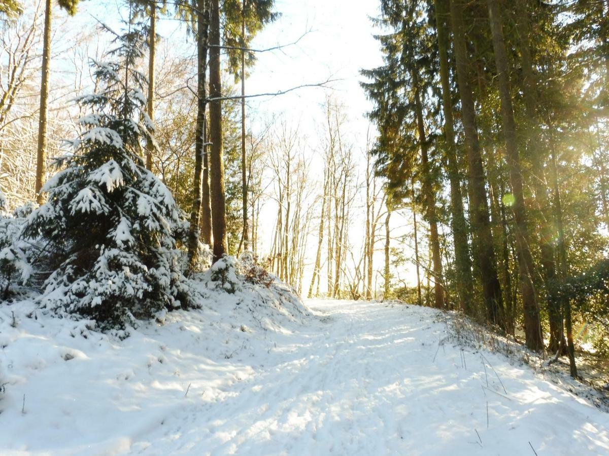 Kleine Villa Im Wilden Garten Gummersbach Exteriör bild