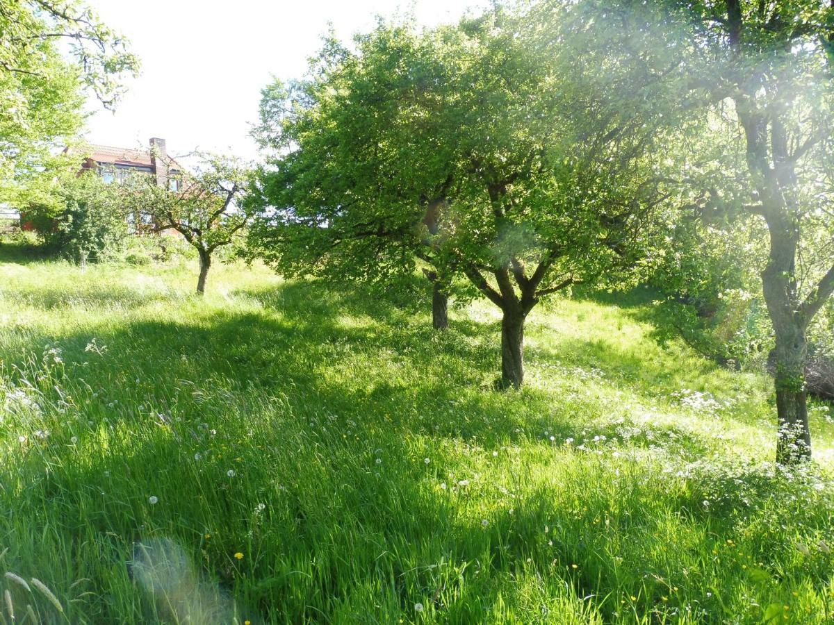 Kleine Villa Im Wilden Garten Gummersbach Exteriör bild