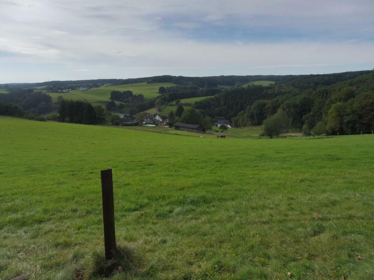 Kleine Villa Im Wilden Garten Gummersbach Exteriör bild